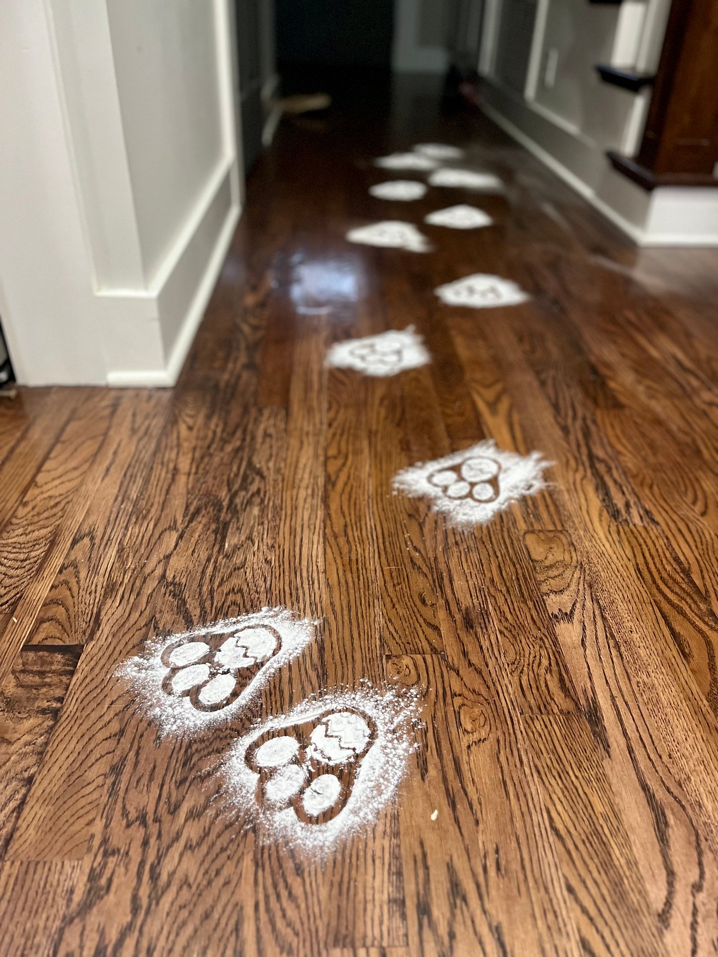 Bunny feet stencil